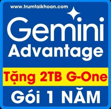 Tài khoản Gemini Advantage